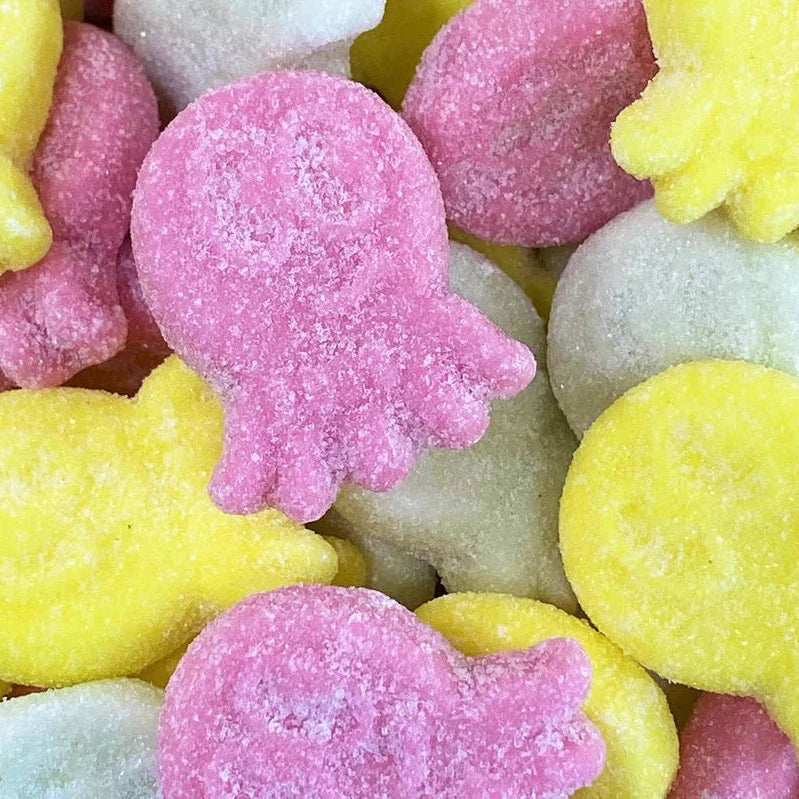 TheJar.Company | Swedish Candy - №24 - Squidgy Sour Octos